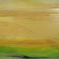 Gallery 1 - Virginia Sharkey