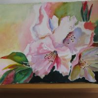 Gallery 1 - Marie Pera