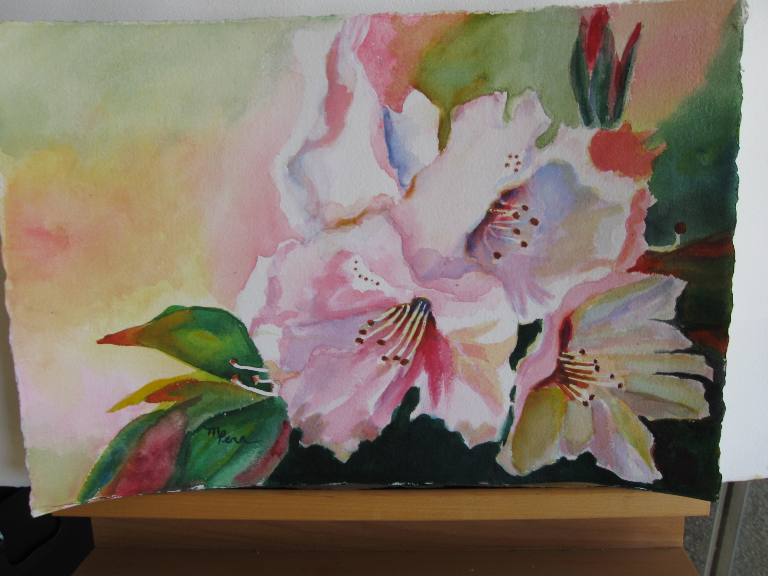 Gallery 1 - Marie Pera