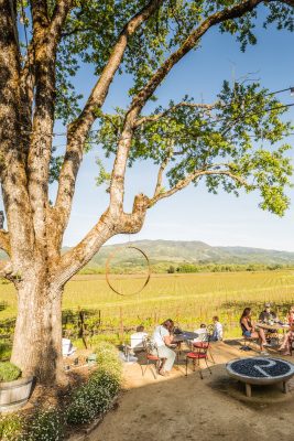 RIVINO Estate Vineyards and Winery