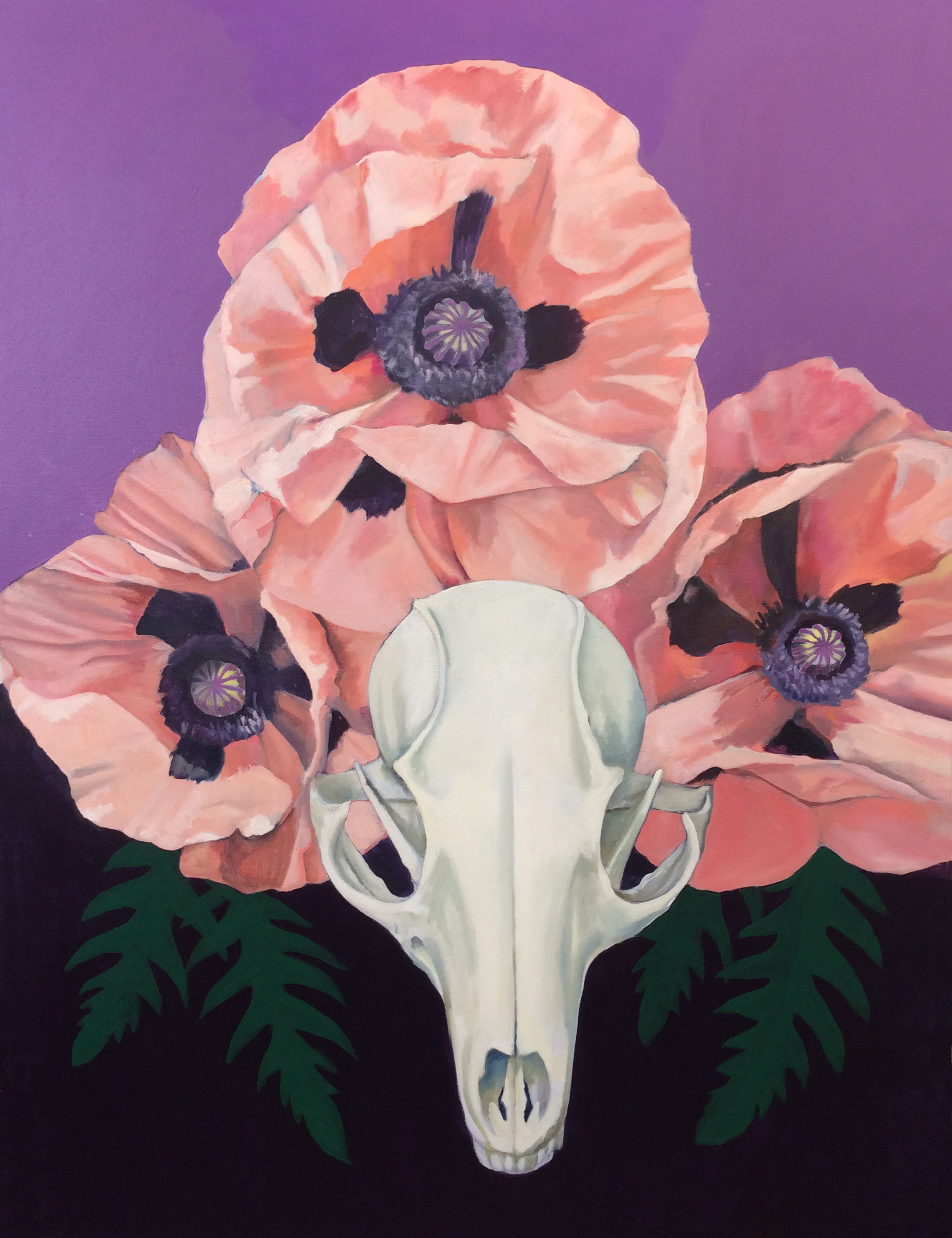 Gallery 1 - Diza Hope