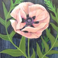 Gallery 3 - Diza Hope