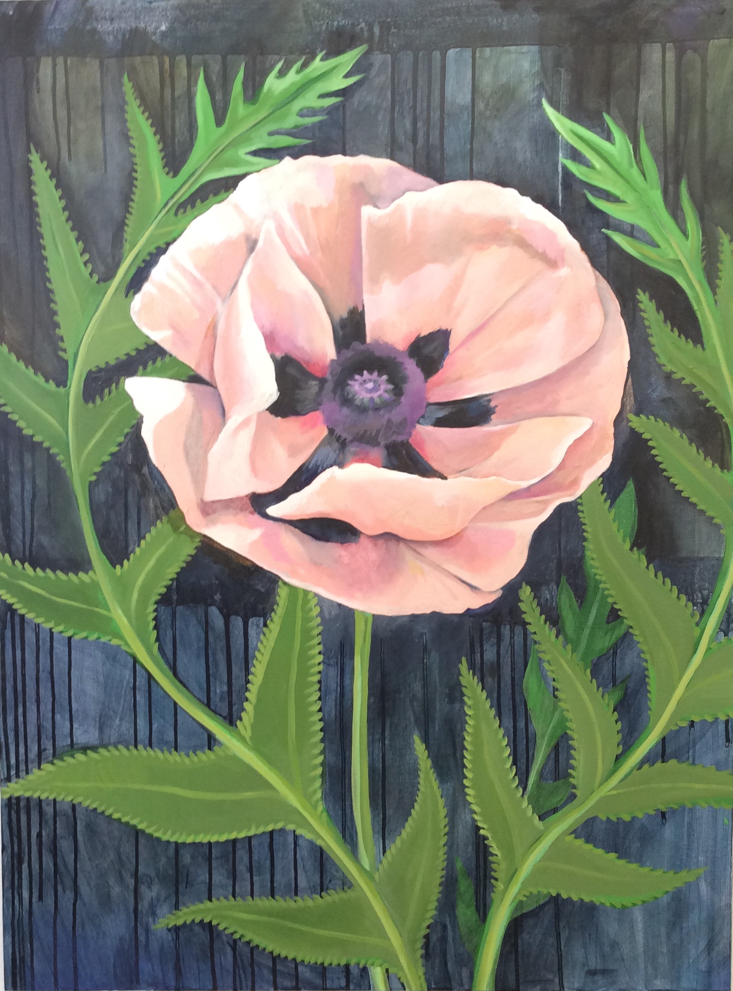 Gallery 3 - Diza Hope