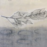 Gallery 5 - Diza Hope
