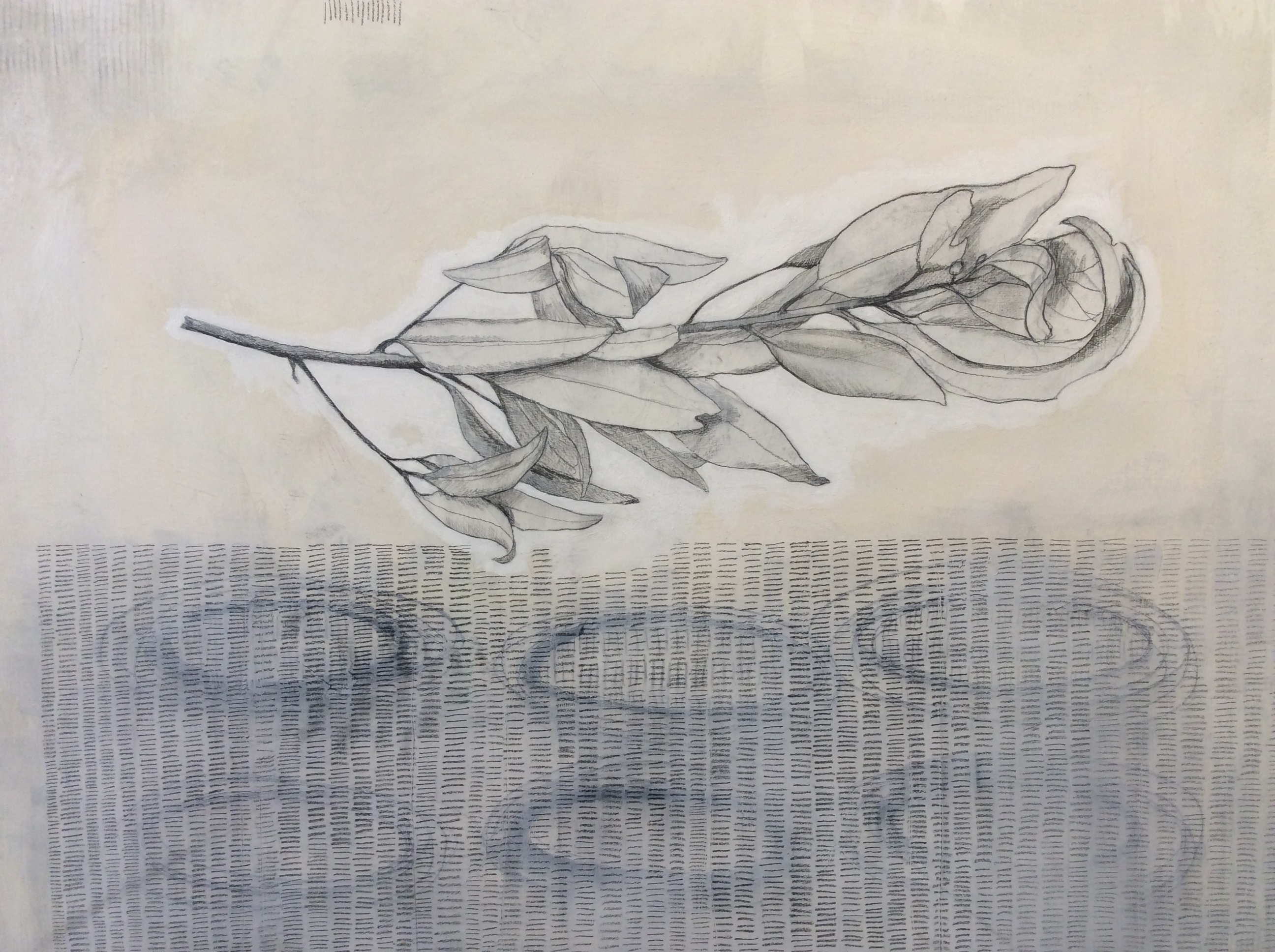 Gallery 5 - Diza Hope