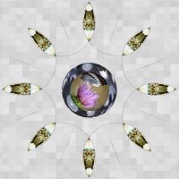 Gallery 2 - Deborah Hunter