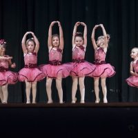 Gallery 3 - Willits Dance Academy