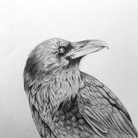 Gallery 1 - Lillian Rubie