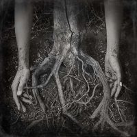 Gallery 3 - Lillian Rubie