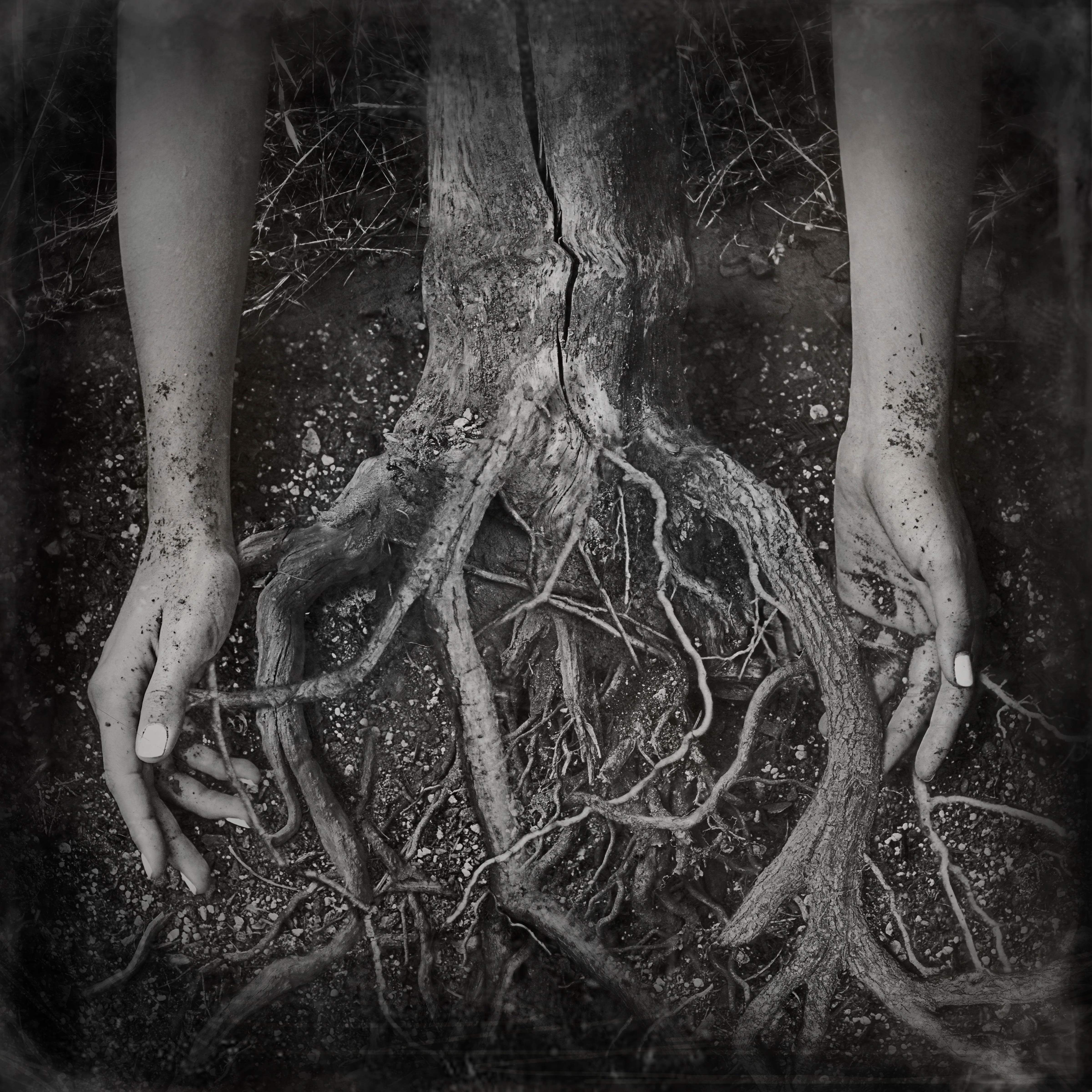 Gallery 3 - Lillian Rubie