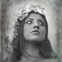 Gallery 5 - Lillian Rubie
