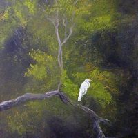 Gallery 22 - Sunny Franson