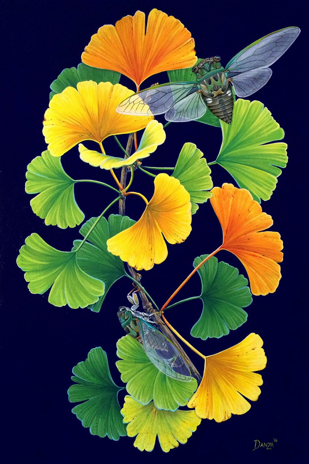 Gallery 4 - Danza Davis