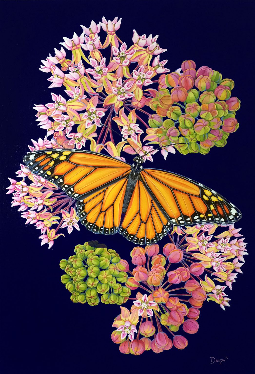 Gallery 5 - Danza Davis