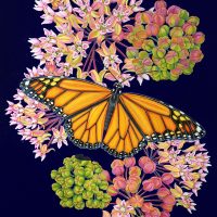 Gallery 5 - Danza Davis