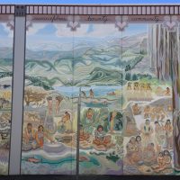 Gallery 6 - Lauren Sinnott
