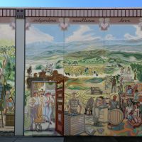 Gallery 9 - Lauren Sinnott
