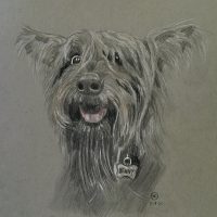 Gallery 1 - Janet Rosen