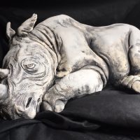 Gallery 4 - Kristin Coddington-Gordon