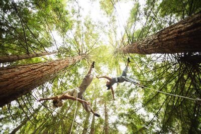 Mendocino Dance Project