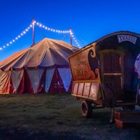 Gallery 2 - Flynn Creek Circus LLC