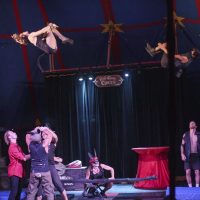 Gallery 4 - Flynn Creek Circus LLC