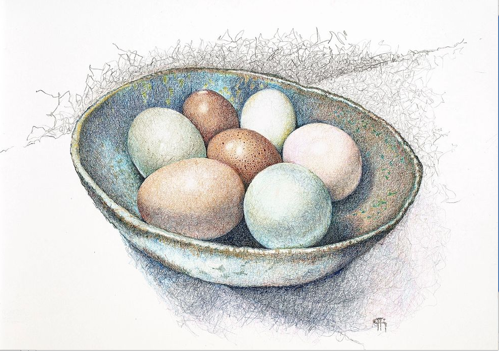 Gallery 13 - Patti Harney