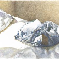 Gallery 14 - Patti Harney