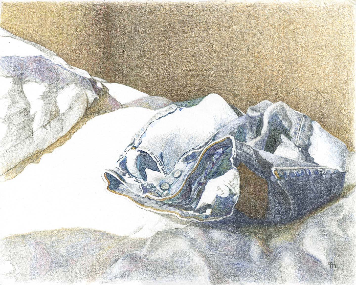 Gallery 14 - Patti Harney