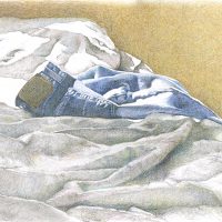 Gallery 15 - Patti Harney