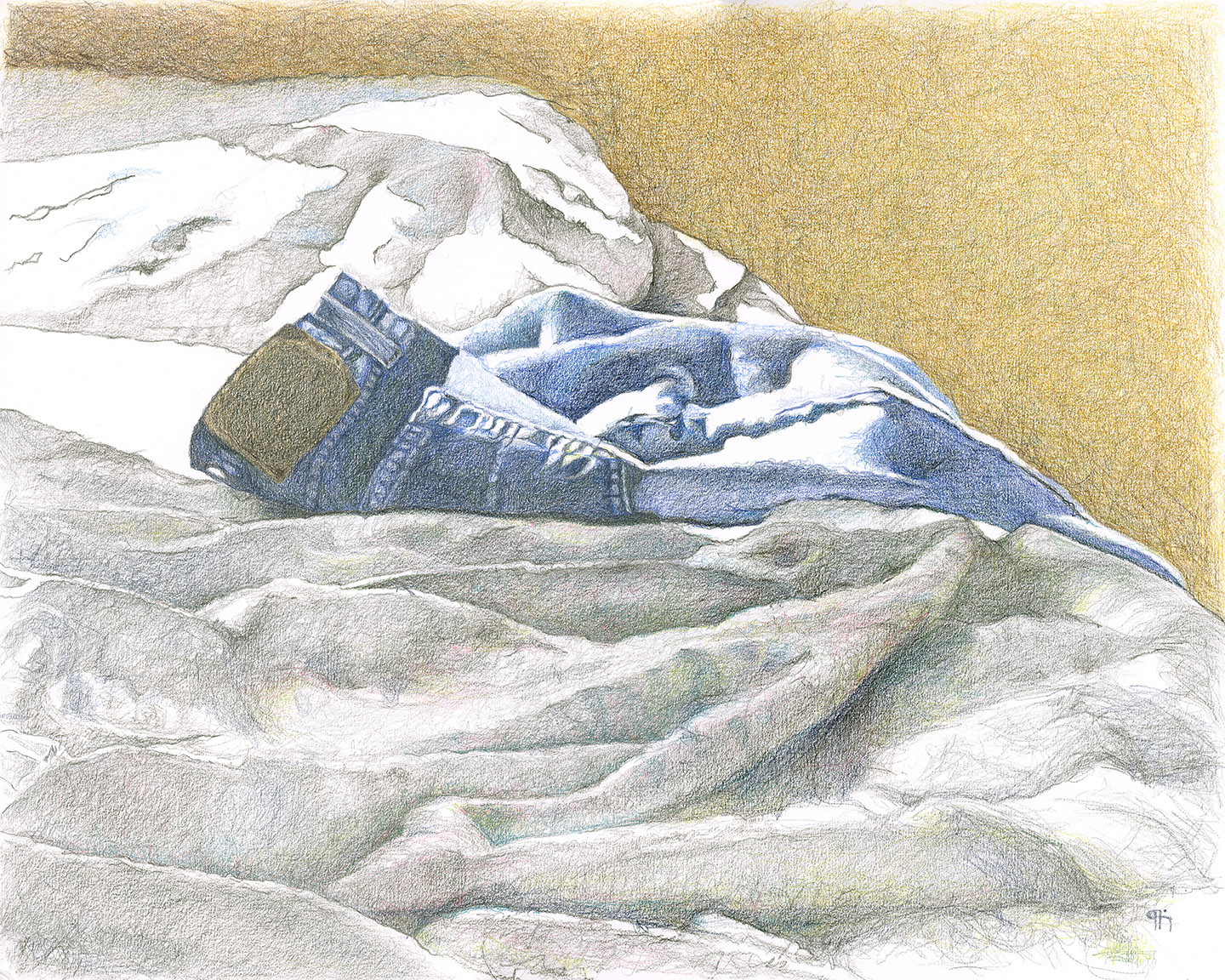 Gallery 15 - Patti Harney