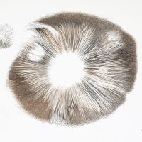 Gallery 2 - Patti Harney