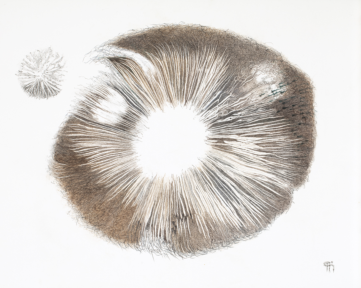 Gallery 2 - Patti Harney