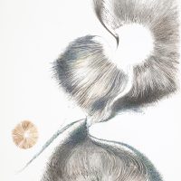 Gallery 3 - Patti Harney