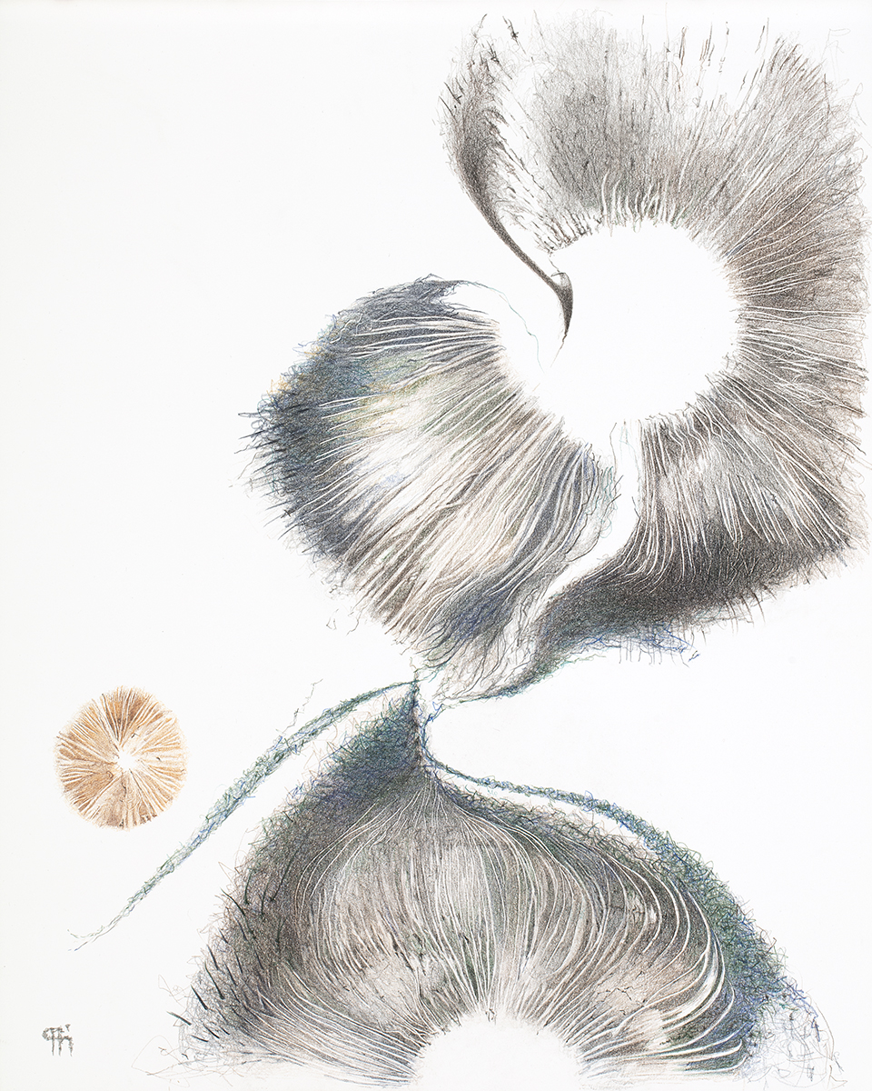 Gallery 3 - Patti Harney