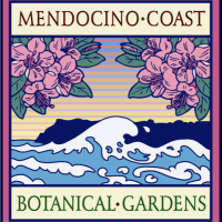 Fall Plant Sale