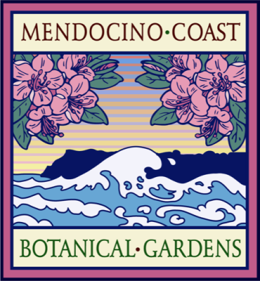 Fall Plant Sale