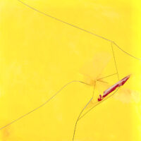 Gallery 9 - Virginia Sharkey