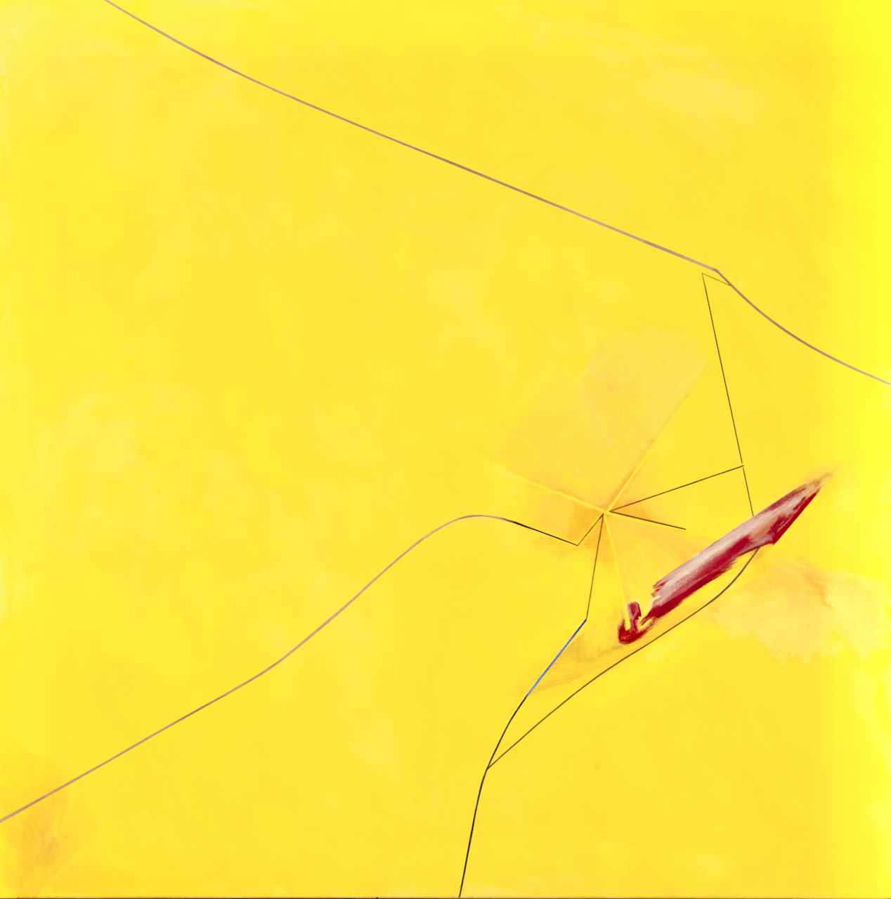 Gallery 9 - Virginia Sharkey