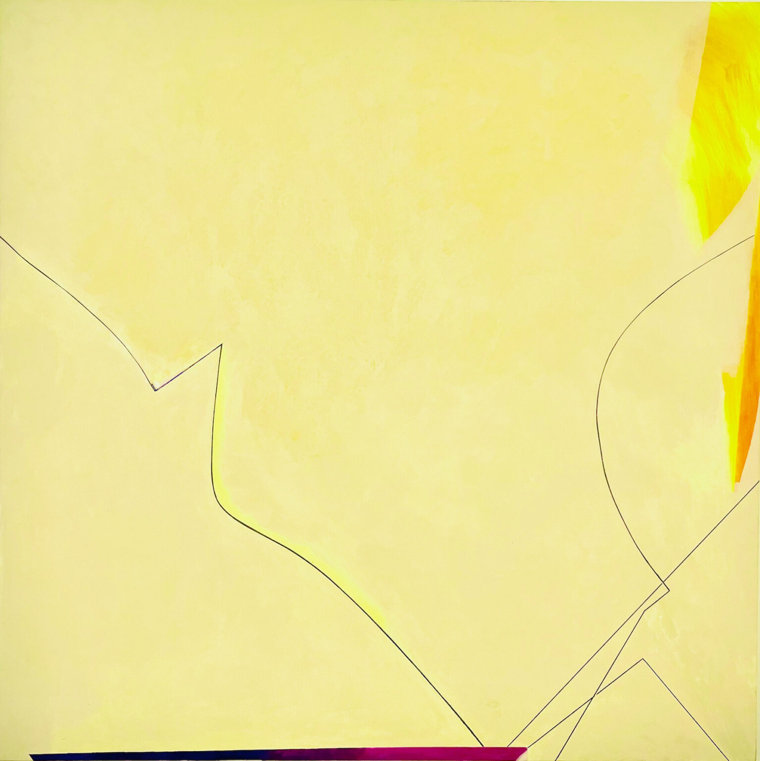 Gallery 10 - Virginia Sharkey