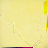 Gallery 10 - Virginia Sharkey