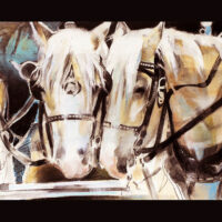 Gallery 3 - MARJO WILSON