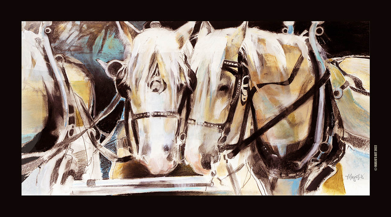 Gallery 3 - MARJO WILSON