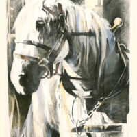 Gallery 7 - MARJO WILSON