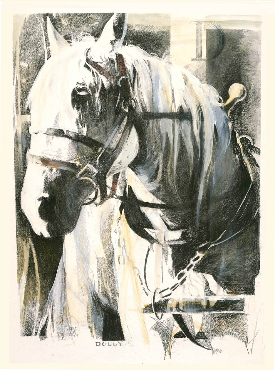 Gallery 7 - MARJO WILSON