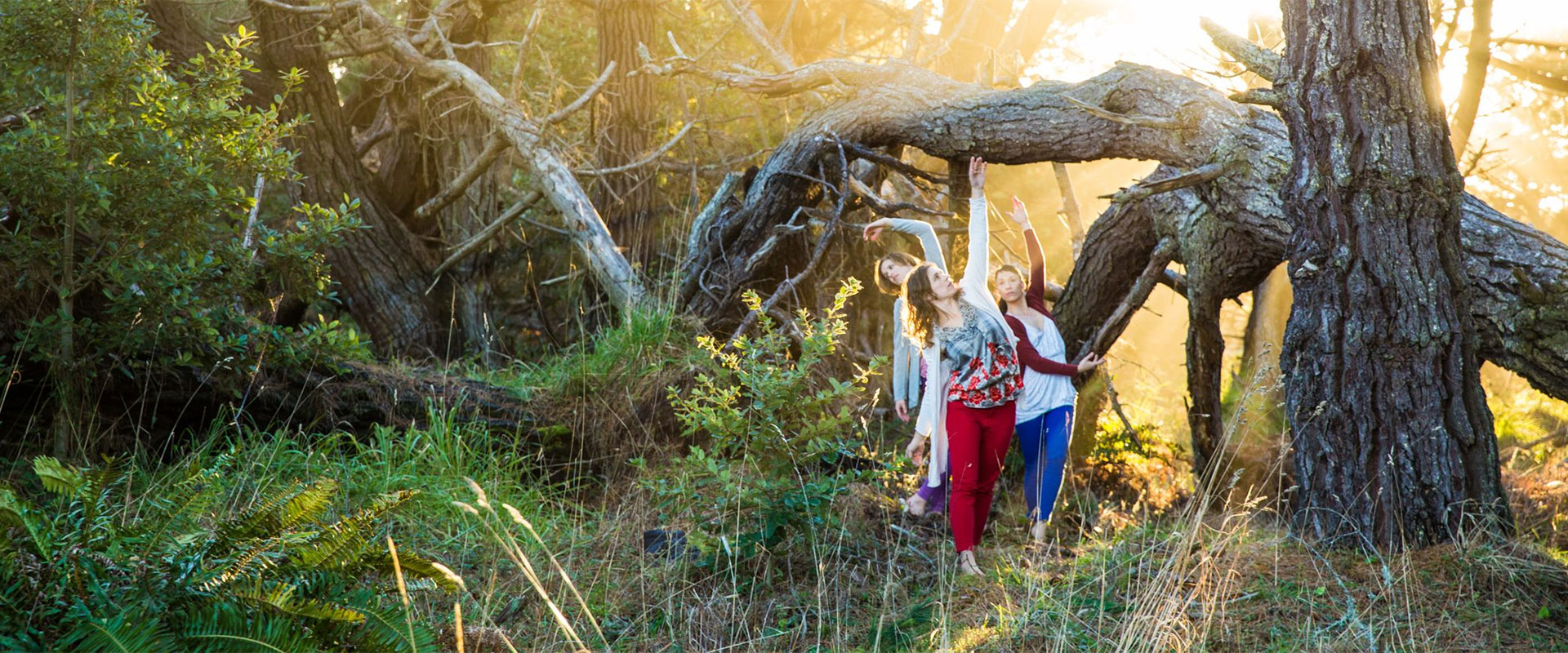 Mendocino Dance Project 1