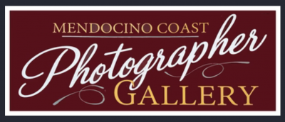 Mendocino Coast Photographer Gallery