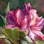 Gallery 7 - Ann & Jon Maglinte