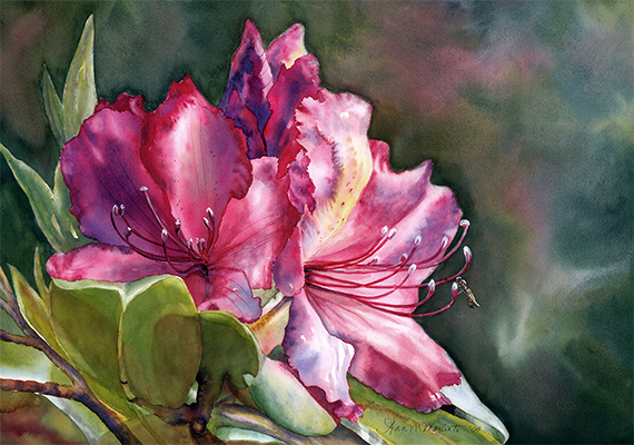Gallery 7 - Ann & Jon Maglinte