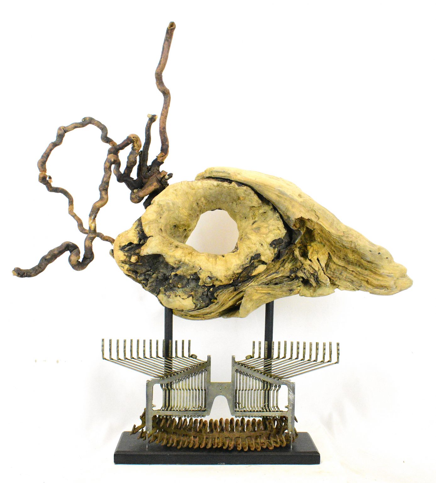 Gallery 4 - Spencer Brewer & Esther Siegel